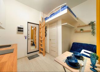 Сдается в аренду квартира студия, 16 м2, Санкт-Петербург, Средний проспект Васильевского острова, 27