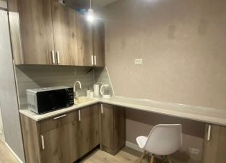 Сдается в аренду квартира студия, 15 м2, Республика Башкортостан, проспект Ленина, 40