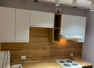 Сдам в аренду 2-ком. квартиру, 40 м2, Уфа, улица Генерала Ишбулатова, 8/4