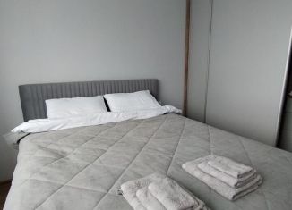 Сдается в аренду 1-комнатная квартира, 37.9 м2, Екатеринбург, улица Шаумяна, 28, ЖК Южные Кварталы