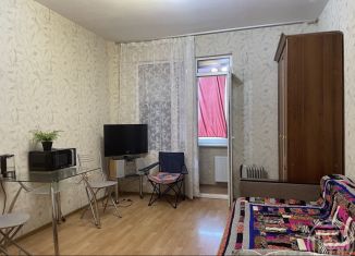 Продается квартира студия, 24 м2, деревня Новое Девяткино, Главная улица, 58