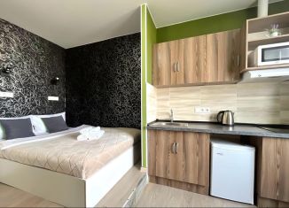 Сдаю в аренду квартиру студию, 15 м2, Москва, Тайнинская улица, 9, метро Бабушкинская