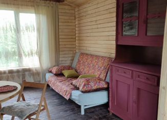 Сдам дом, 40 м2, деревня Селявы, Центральная улица, 23