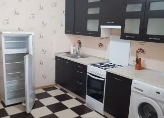 Сдается однокомнатная квартира, 46 м2, Севастополь, улица Челюскинцев, 57/1