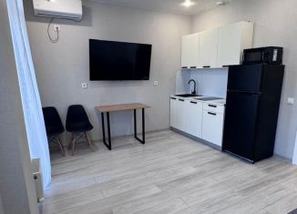 Сдается квартира студия, 26.9 м2, Краснодар, микрорайон Достояние, улица Григория Булгакова