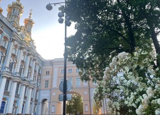 Сдам однокомнатную квартиру, 38 м2, Пушкин, Оранжерейная улица, 3/19