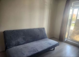 Аренда квартиры студии, 23 м2, Санкт-Петербург, Русановская улица, 20к3