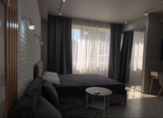 Сдается в аренду квартира студия, 33 м2, село Орёл-Изумруд, улица Лазурная Долина, 180