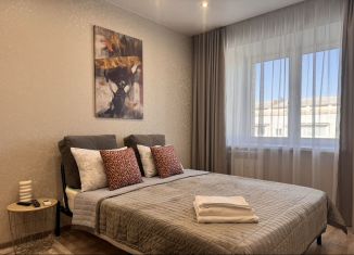 Сдача в аренду 1-ком. квартиры, 40 м2, Благовещенск, улица Шевченко, 86