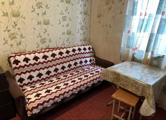 Сдается квартира студия, 15 м2, посёлок Парголово, Полевая улица, 14В