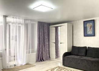 Сдам 1-ком. квартиру, 40 м2, Геленджик, Красногвардейская улица, 67