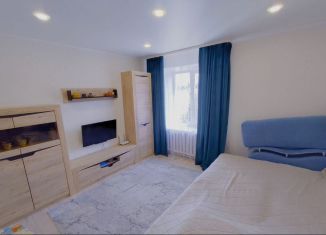 Продается однокомнатная квартира, 27.7 м2, деревня Добрунь, Полевая улица, 2