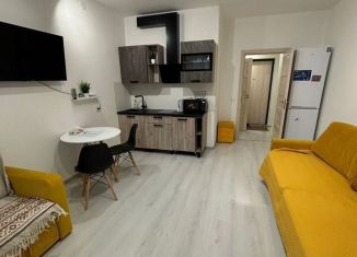 Сдам в аренду однокомнатную квартиру, 24.2 м2, Санкт-Петербург, улица Владимира Пчелинцева, 6к2