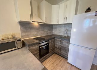 Продам квартиру студию, 22.4 м2, Санкт-Петербург, набережная реки Каменки, 23, муниципальный округ Коломяги