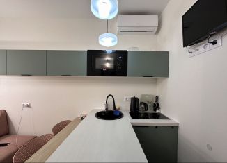 Квартира в аренду студия, 16 м2, Сочи, Ясногорская улица, 16/2к4, микрорайон Бытха