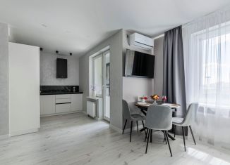 Однокомнатная квартира в аренду, 36 м2, Татарстан, улица Петра Полушкина, 4