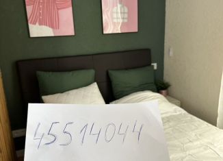 Сдам дом, 50 м2, Сочи, садоводческое товарищество Лысая Гора, 128