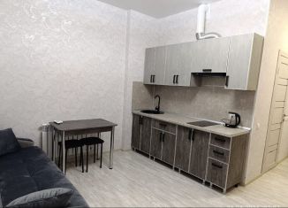 Сдаю в аренду однокомнатную квартиру, 38 м2, Сочи, улица Ленина, 290/7к9