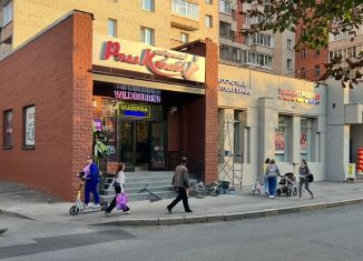 Продается помещение свободного назначения, 174.2 м2, Санкт-Петербург, Невский район, Народная улица, 43к1