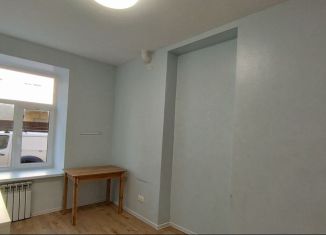Аренда квартиры студии, 20 м2, Санкт-Петербург, Офицерский переулок, 8Б
