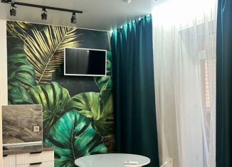 Аренда 1-ком. квартиры, 37 м2, Ростов-на-Дону, проспект Солженицына, 15с2, ЖК Пятый Элемент