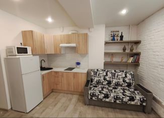 Квартира в аренду студия, 25 м2, Санкт-Петербург, Большая Московская улица, 7