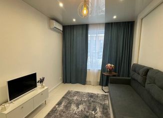 Однокомнатная квартира на продажу, 37.2 м2, деревня Красный Поселок, улица Конюхова, 10, ЖК Сампо