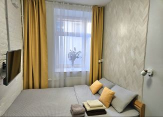 Сдается квартира студия, 17 м2, Санкт-Петербург, 9-я линия Васильевского острова, 22