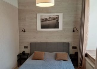 Сдаю квартиру студию, 23 м2, Санкт-Петербург, Коломенская улица, 7