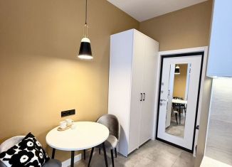 Сдам в аренду квартиру студию, 18 м2, Санкт-Петербург, улица Красного Курсанта, 11/1