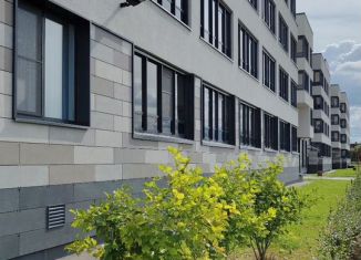 Сдается однокомнатная квартира, 35 м2, Санкт-Петербург, проспект Будённого, 15, Красносельский район