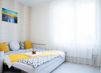 Квартира в аренду студия, 25 м2, Москва, Цимлянская улица, 3к1, ЖК Влюблино