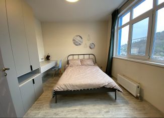 Аренда 1-комнатной квартиры, 38 м2, посёлок городского типа Дагомыс, улица Гайдара, 22, ЖК Босфор