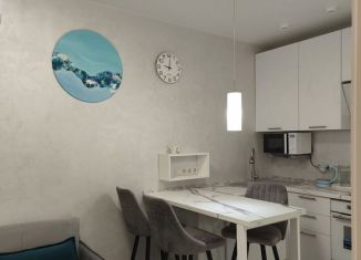 Аренда 1-ком. квартиры, 31 м2, Сочи, улица Искры, 88, микрорайон Кудепста