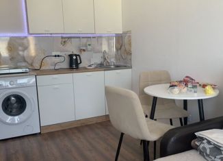 Сдаю квартиру студию, 22 м2, Санкт-Петербург, Пейзажная улица, метро Девяткино