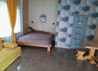 Сдается дом, 30 м2, поселок городского типа Шерегеш, Рябиновая улица, 29