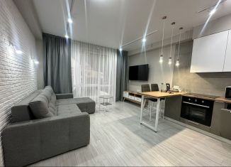 Сдается двухкомнатная квартира, 80 м2, село Орёл-Изумруд, улица Лазурная Долина, 172