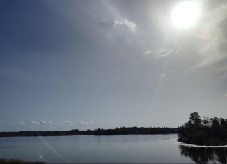 Земельный участок на продажу, 20 сот., Псковская область