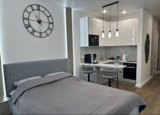 Сдаю в аренду квартиру студию, 24 м2, Сочи, Ясногорская улица, 16/6к3, микрорайон Бытха