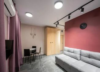 Сдаю в аренду квартиру студию, 33 м2, Сириус, улица Нагорный Тупик, 13В