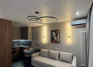 2-комнатная квартира в аренду, 32.1 м2, Владивосток, улица Мыс Кунгасный, 3Б