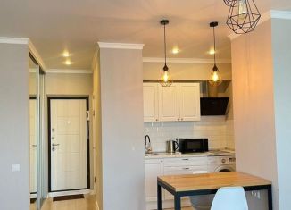 Сдаю в аренду квартиру студию, 38 м2, Ростов-на-Дону, улица Герасименко, 17/2