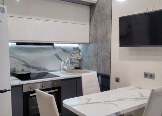 Однокомнатная квартира в аренду, 31 м2, Сочи, улица Бытха, 48/4