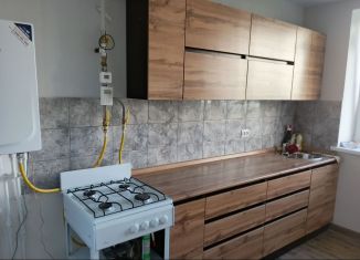 Сдается в аренду 1-комнатная квартира, 35 м2, деревня Дерябиха, деревня Дерябиха, 76А