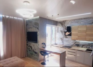 Сдается в аренду двухкомнатная квартира, 65 м2, Сочи, Миндальная улица, 20/4Б