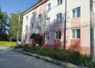 1-комнатная квартира на продажу, 30.2 м2, Бор, улица 1 Мая, 5А