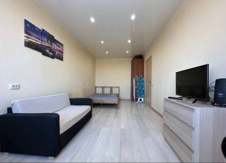 Аренда 1-ком. квартиры, 32 м2, Санкт-Петербург, Московский проспект, 205