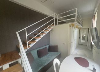 Аренда квартиры студии, 18 м2, Москва, улица Петра Романова, 7с1