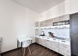 Сдача в аренду квартиры студии, 24 м2, Санкт-Петербург, улица Бабушкина, 53