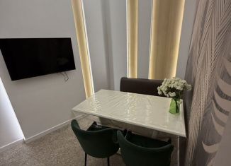 Сдается 2-ком. квартира, 50 м2, Сочи, Садовая улица, 48, микрорайон Черемушки